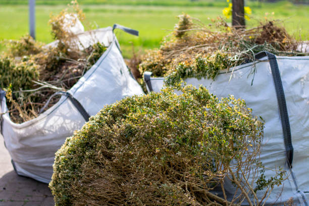 Best Attic Cleanout  in Greenwood, DE